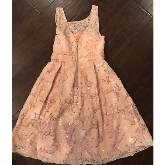 Anthropologie Eva Franco peach sequins Dress - Picture 6 of 7